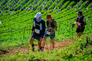 BIB: 2774, 1034, 140
                            <button type="button" onclick="openModal(19163677)" class="btn btn-primary btn-sm float-right btn-popup" data-toggle="modal" data-target=".modal-high-quality">
                        <i class="fas fa-shopping-cart"></i> Add to Cart
                    </button>
                                            <button type="button" onclick="isThisMe(19163677, true)" class="btn btn-success btn-sm float-right btn-popup btn-isme hidden" data-toggle="tooltip" data-placement="bottom" title="นี่คือรูปของคุณใช่ไหม คลิกที่นี่เพื่อเอาเข้าอัลบั้ม">
                        <i class="fas fa-plus"></i> Add to album
                    </button>
                    <button type="button" onclick="isThisMe(19163677, false)" class="btn btn-warning btn-sm float-right btn-popup btn-isnotme hidden">
                        <i class="fas fa-ban"></i> Remove from album
                    </button>